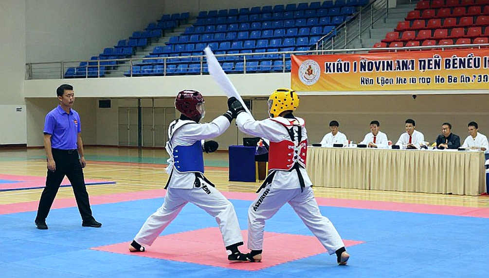 Trương Vĩ Lệ và trang dữ liệu bị giấu của võ thuật Trung Quốc